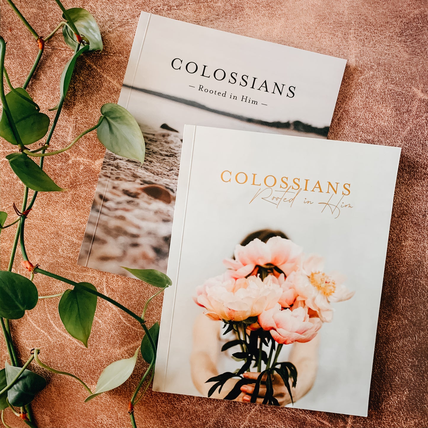 Colossians - His and Hers Bundle