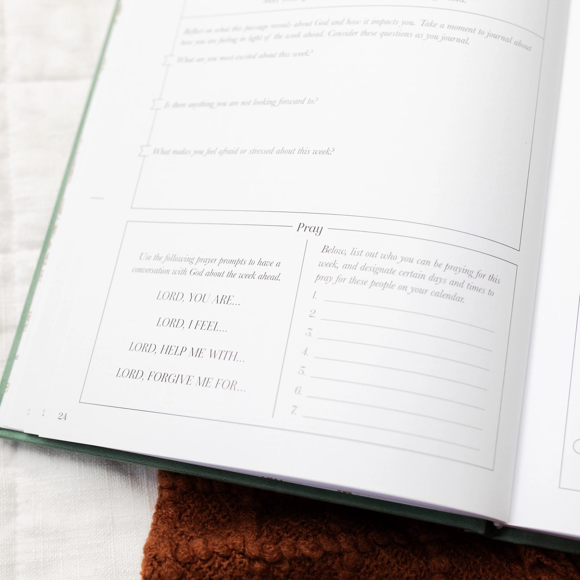 Bible Study Planner Pad – The Daily Grace Co.