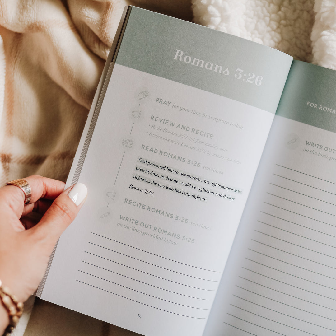 romans memory verse workbook