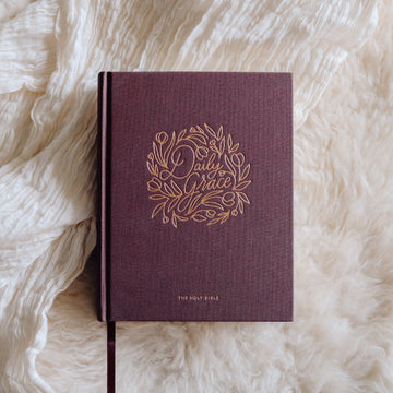 Bibles – The Daily Grace Co.