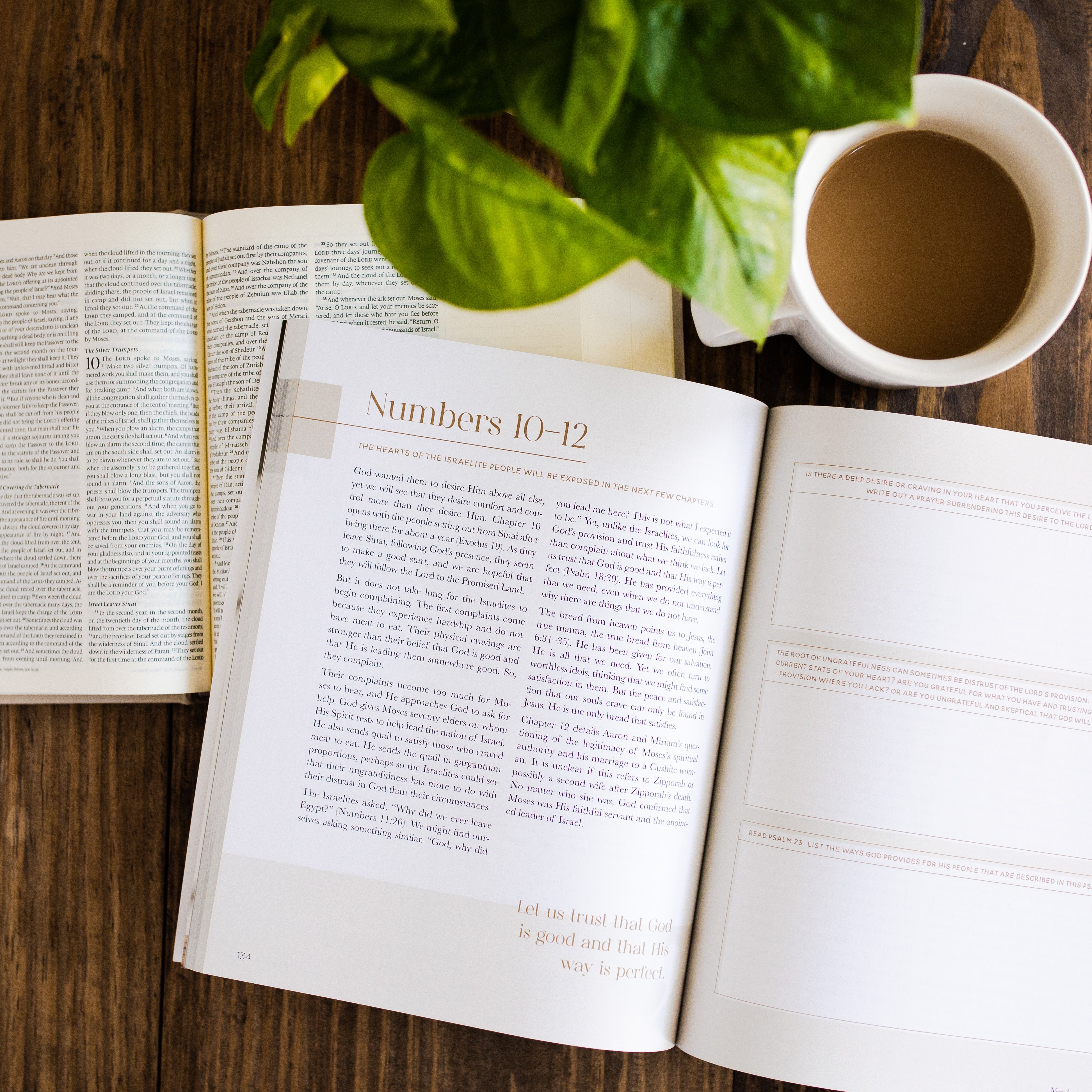 bible study plan for year chronological