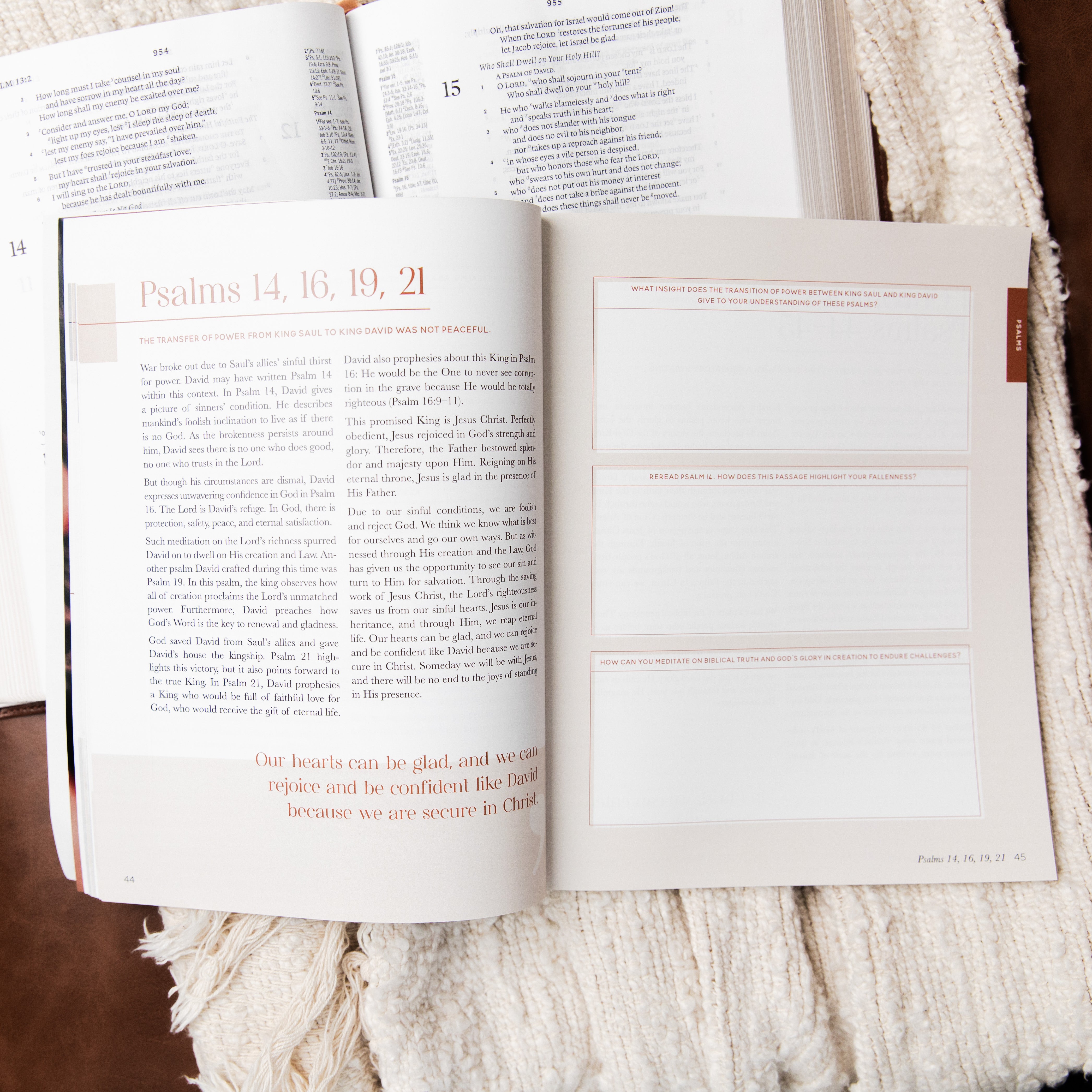 chronological women's bible study books