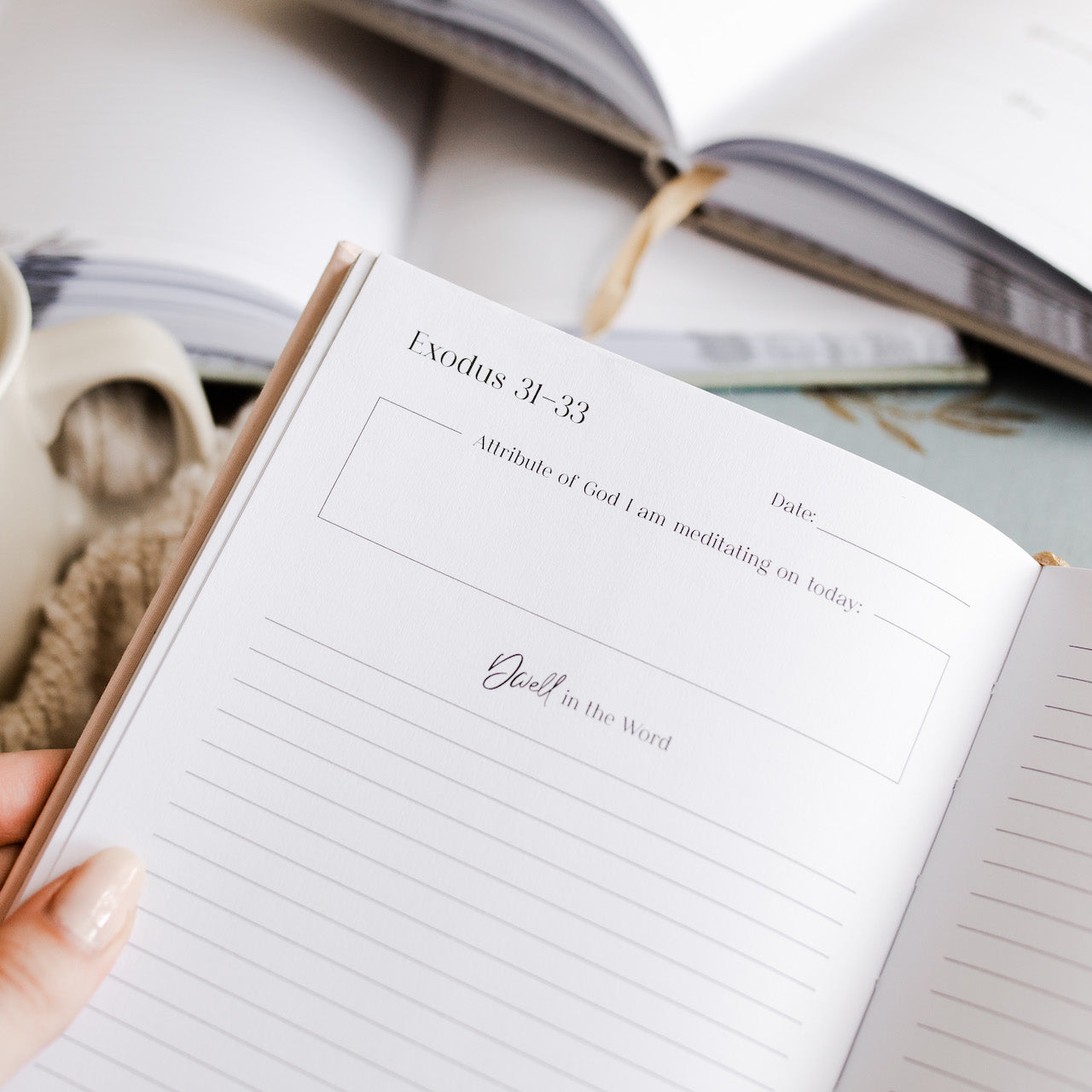 bible reading plan year long journal