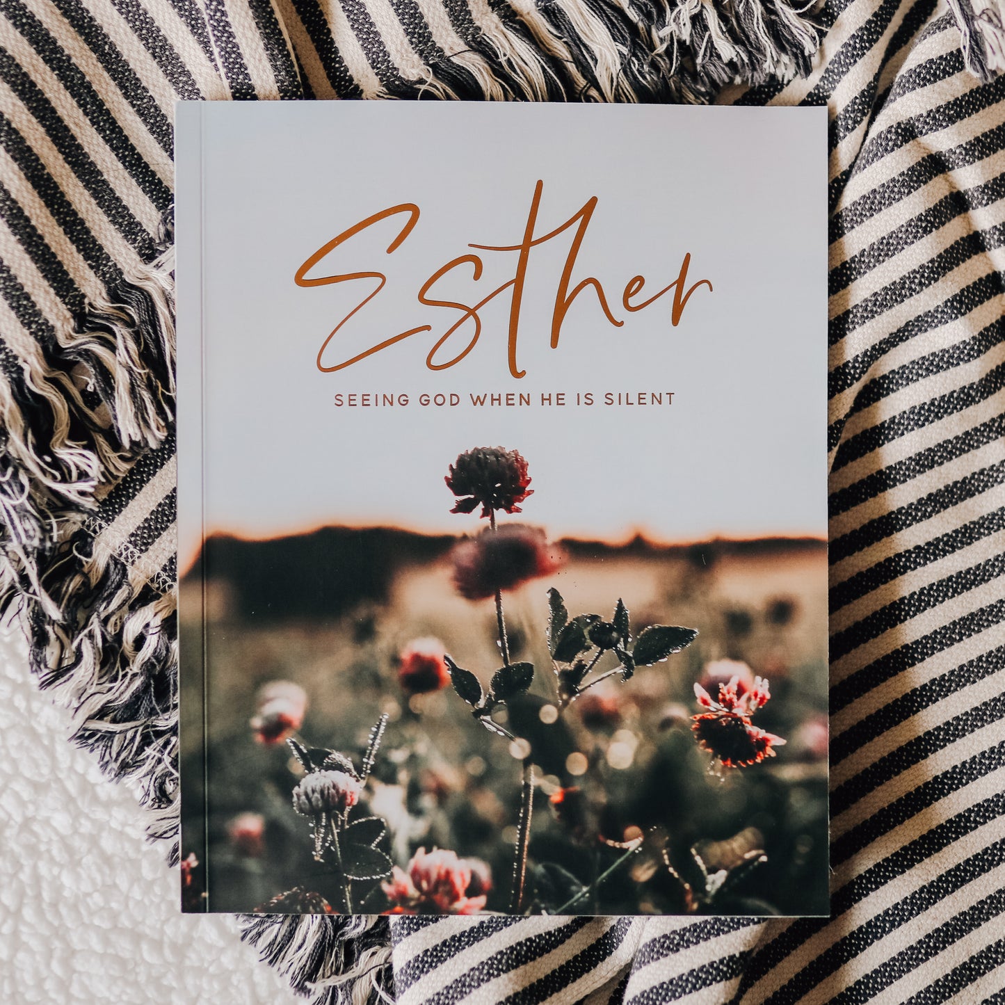 Esther | Seeing God When He Is Silent