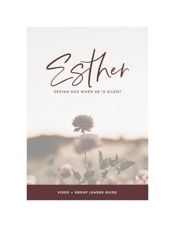 esther bible study with videos