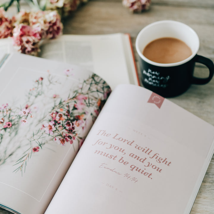 Slightly Imperfect - Faithful | From Eden to Eternity