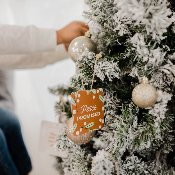 Family Advent Devotional Ornament Set - Jesus Has Come