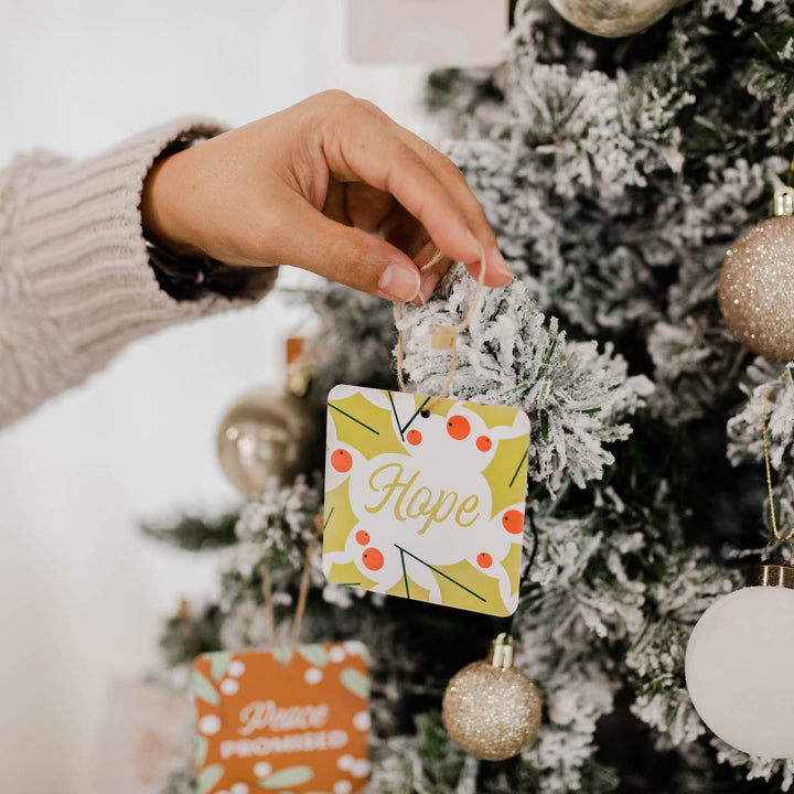 Family Advent Devotional Ornament Set - Jesus Has Come