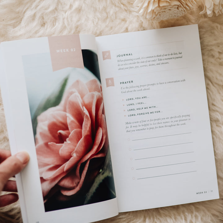 Slightly Imperfect - Fix Your Focus - A 52-Week Guide to Help You Put God First