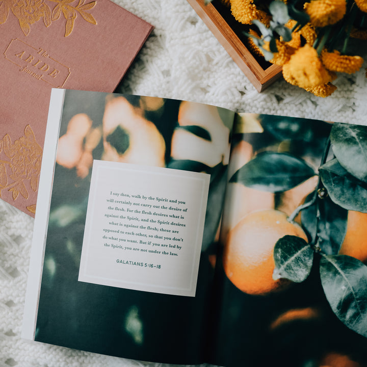 Slightly Imperfect - The Fruit of the Spirit Study