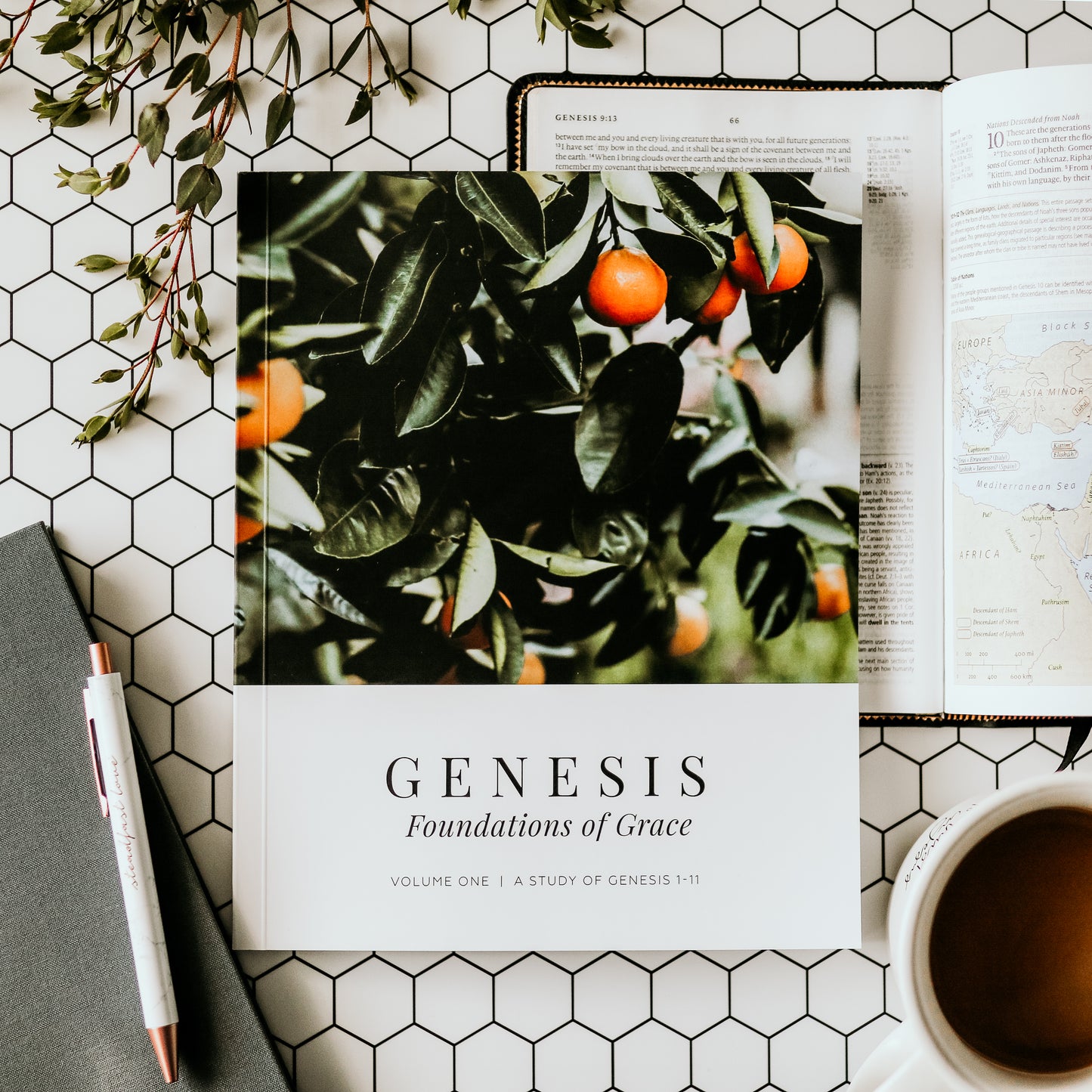 Genesis Vol. 1 | Foundations of Grace