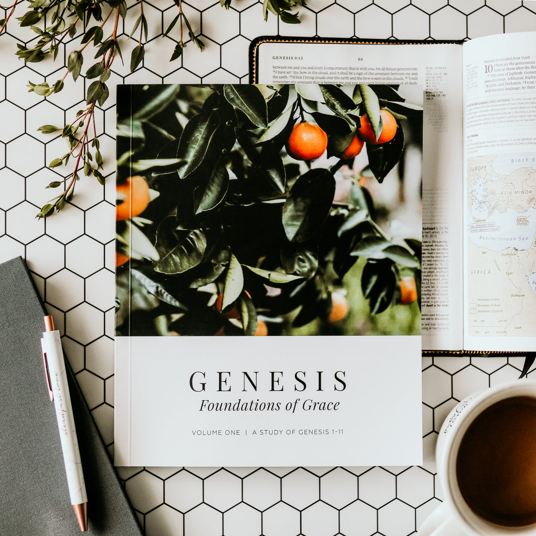 Retired - Genesis Vol. 1 - Foundations of Grace