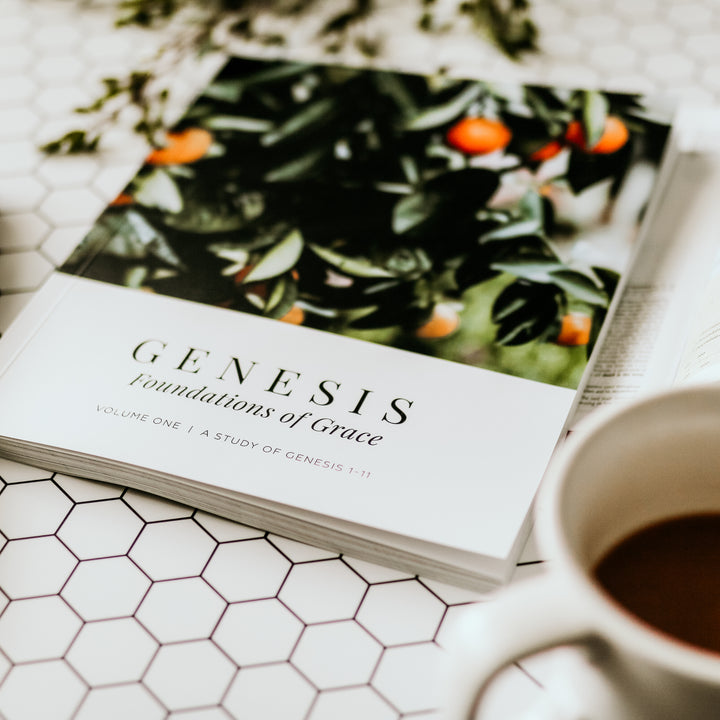 Retired - Genesis Vol. 1 - Foundations of Grace