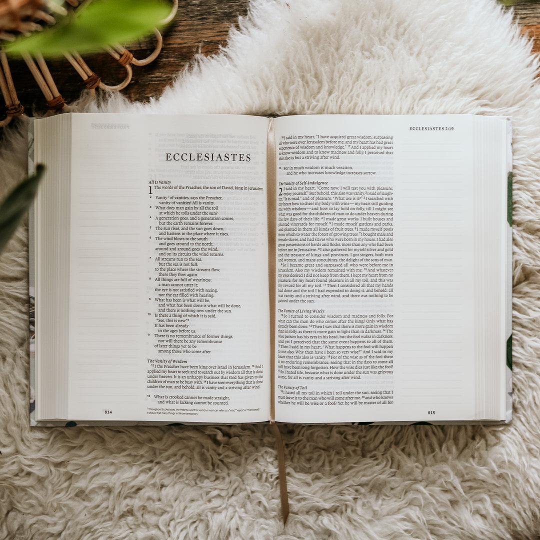 Slightly Imperfect  - Large Print ESV Journaling Bible - Victoria