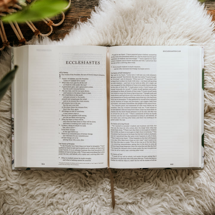 Slightly Imperfect  - Large Print ESV Journaling Bible - Victoria