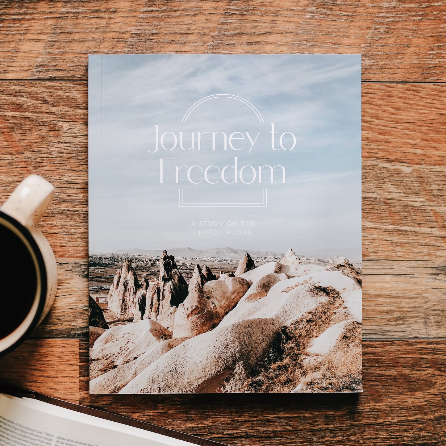 Journey to Freedom | The Life of Moses - Men