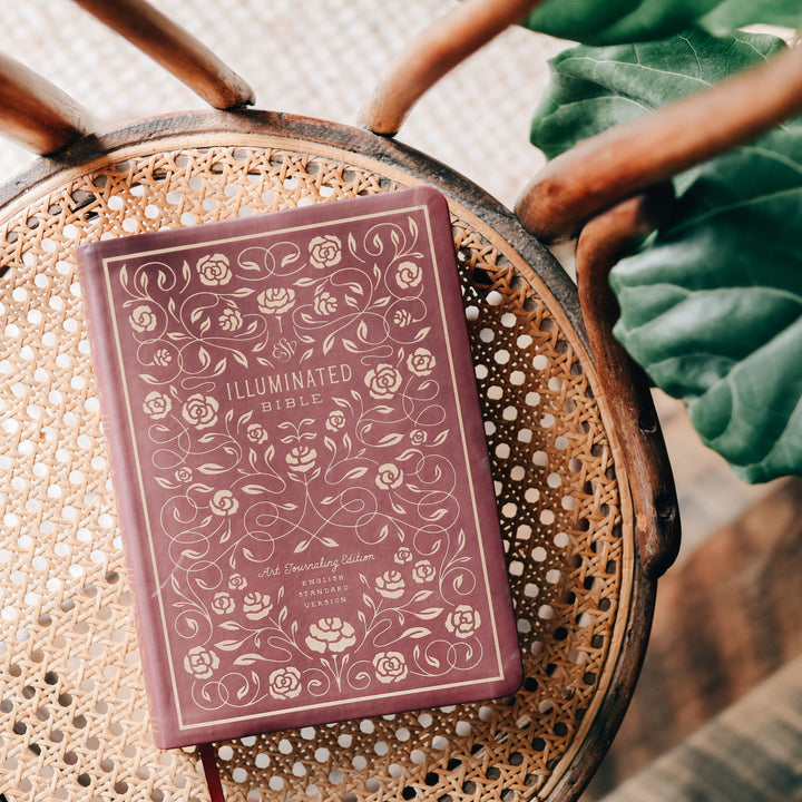 esv illuminated journaling bible on chair