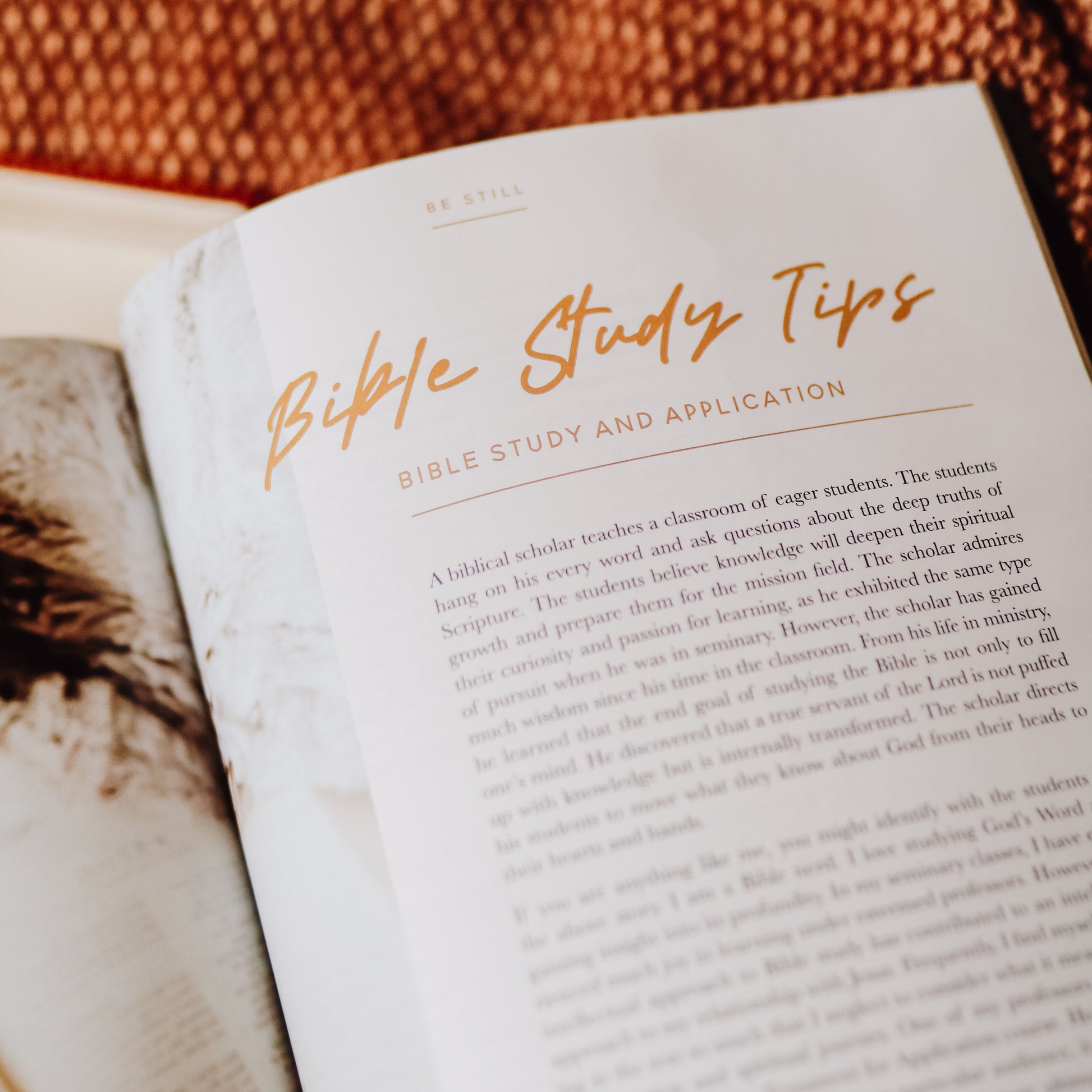 Be Still Magazine Subscription – The Daily Grace Co.