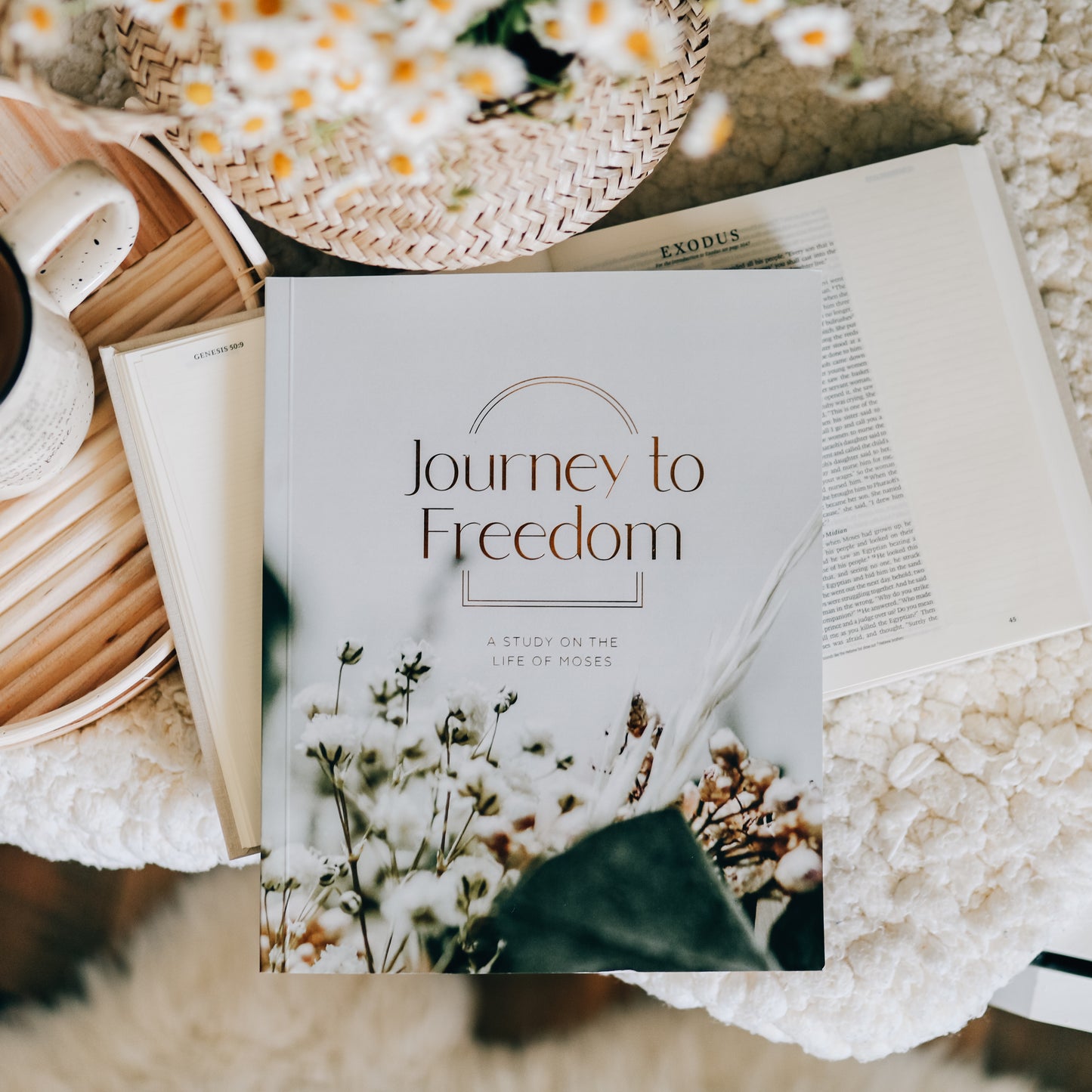 Journey to Freedom | The Life of Moses - His and Hers Bundle