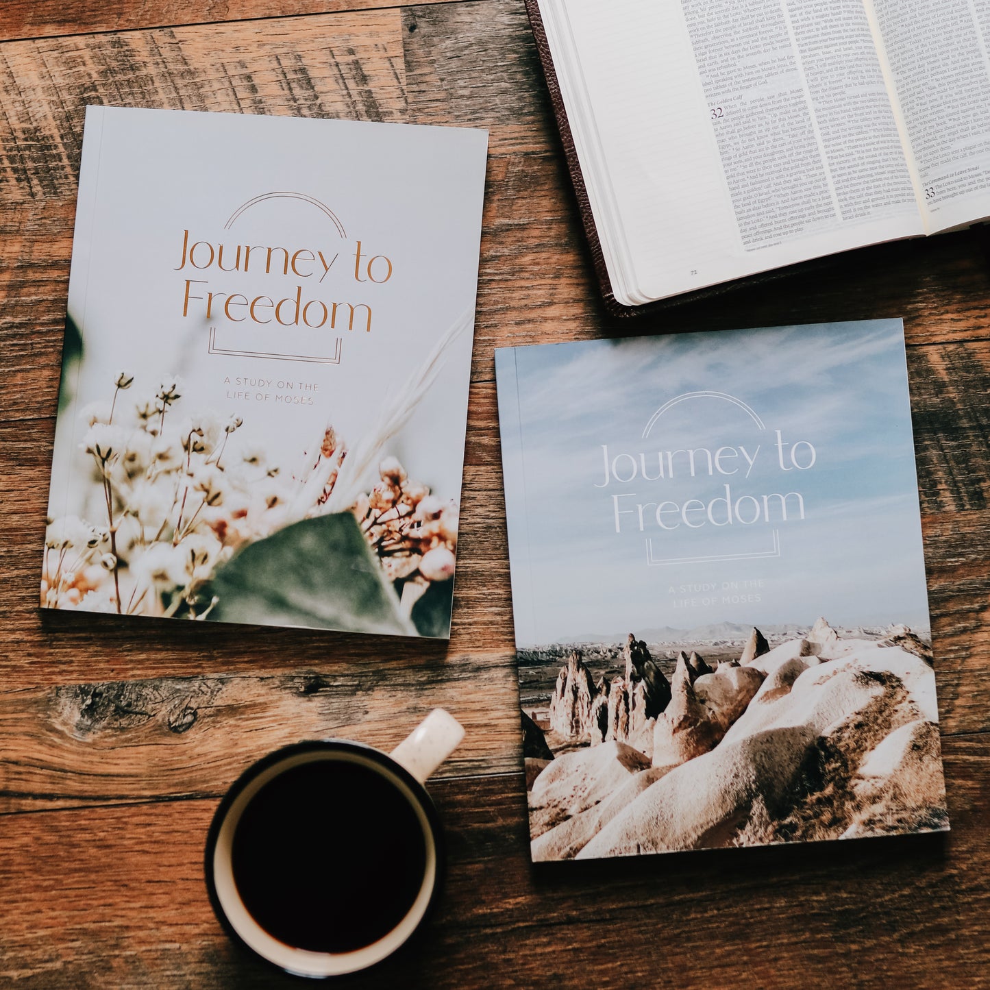 Journey to Freedom | The Life of Moses - His and Hers Bundle