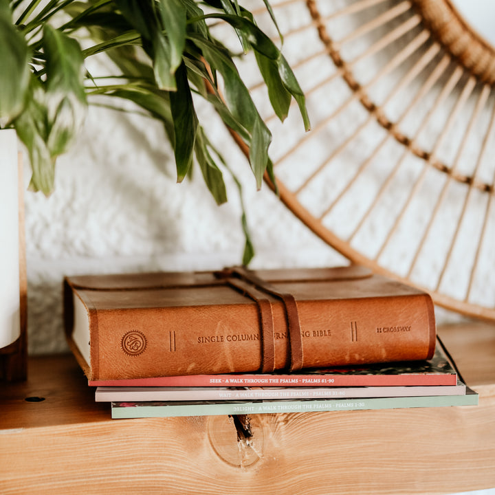 leather journaling bible with bible studies on shelf