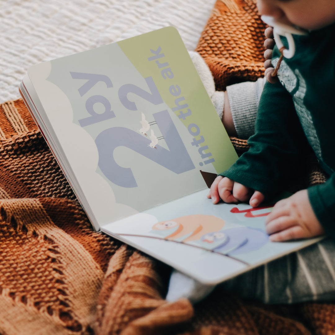 Slightly Imperfect - Counting Through the Bible Board Book