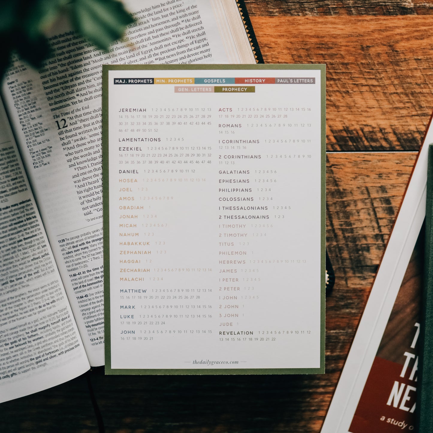 Books of the Bible Reading Checklist - Men