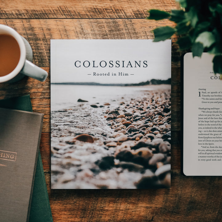 Slightly Imperfect - Colossians | Rooted in Him - Men