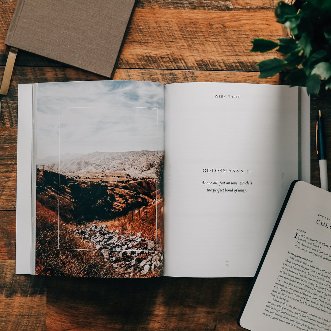 Slightly Imperfect - Colossians | Rooted in Him - Men