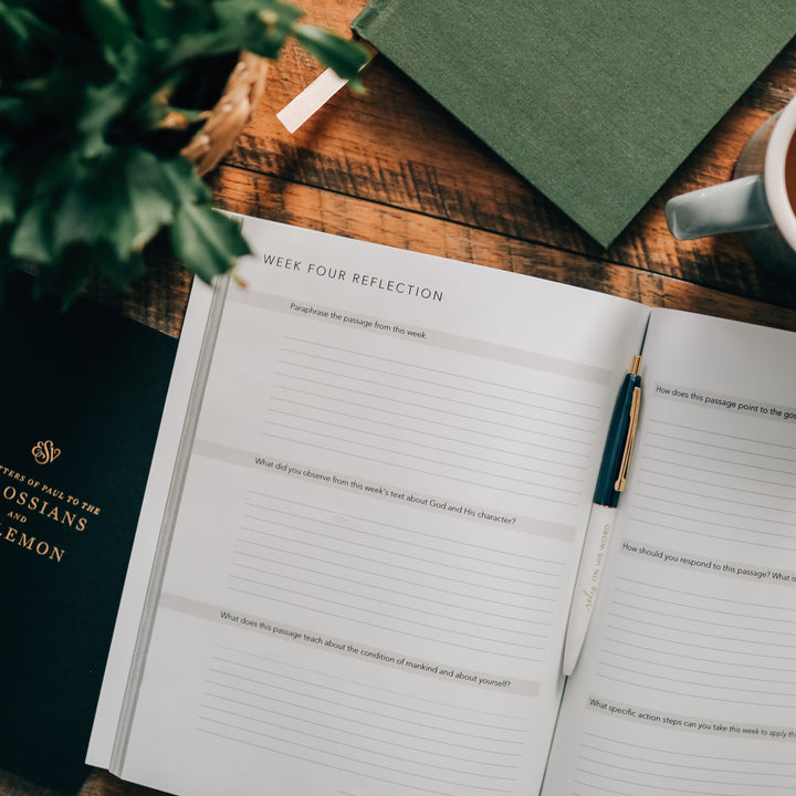 Slightly Imperfect - Colossians | Rooted in Him - Men