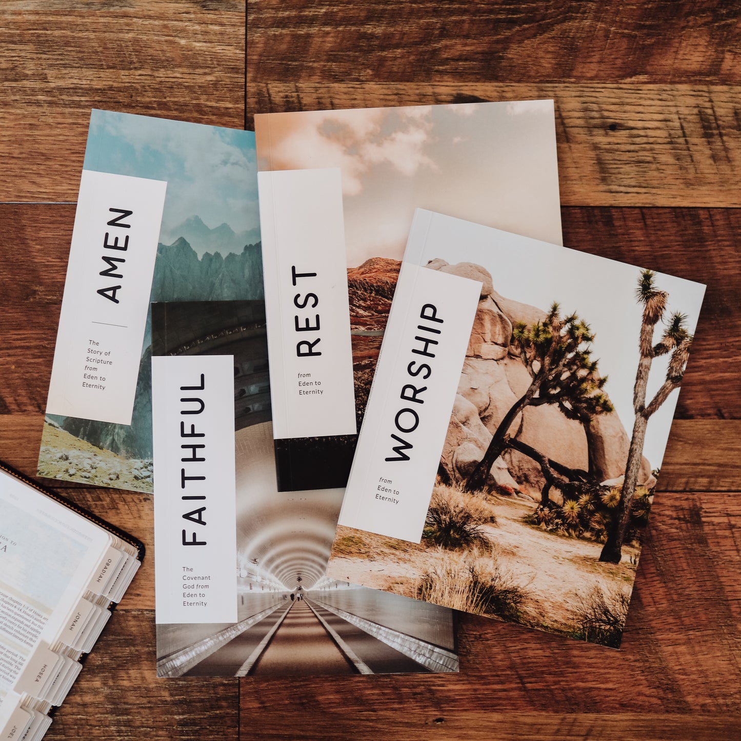 Themes in Scripture Bundle - Men