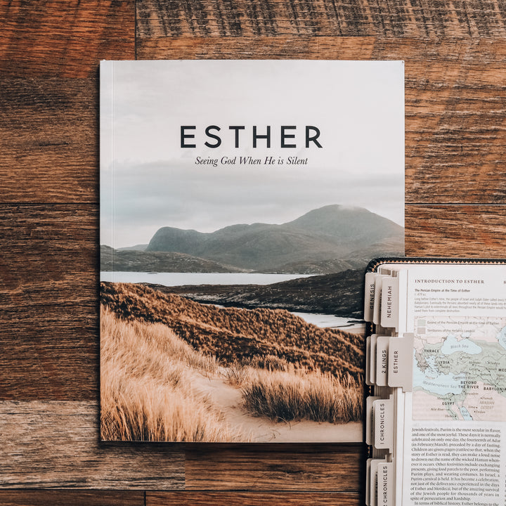 men's bible study on esther book of the bible