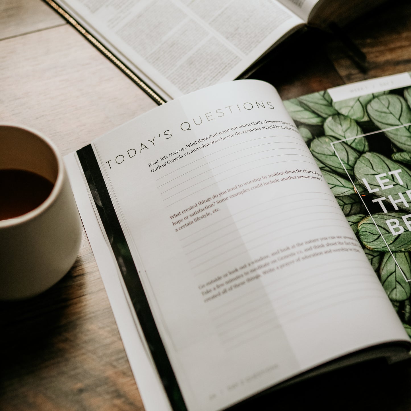 Genesis Vol. 1 | Foundations of Grace - Men