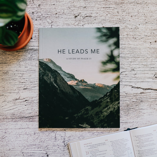 He Leads Me | Psalm 23 - Men