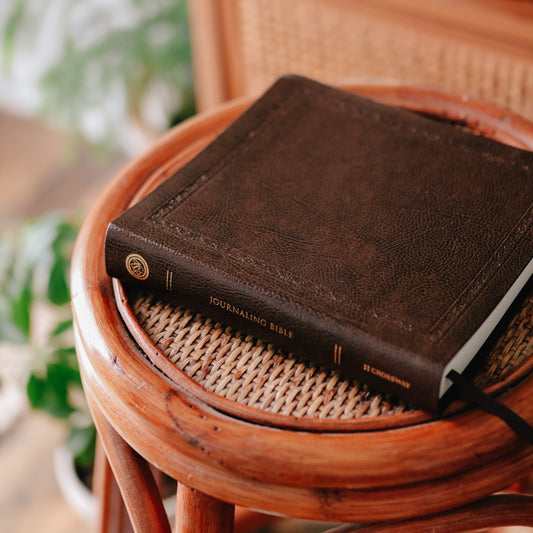 ESV Journaling Bible - Mocha Bonded Leather