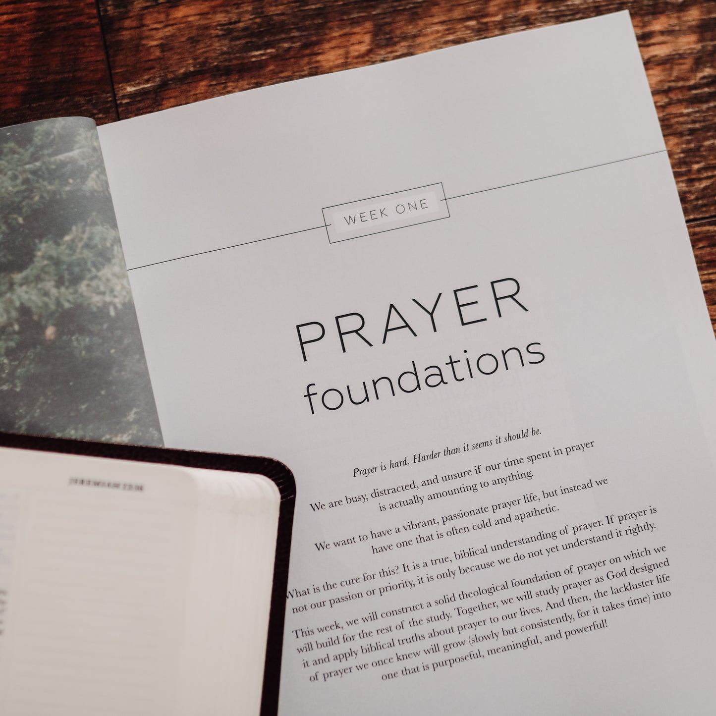 Pray | Cultivating a Passionate Practice of Prayer - Men