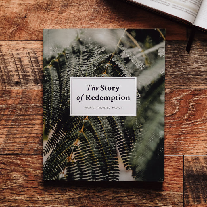 men's bible study volume 3 cover