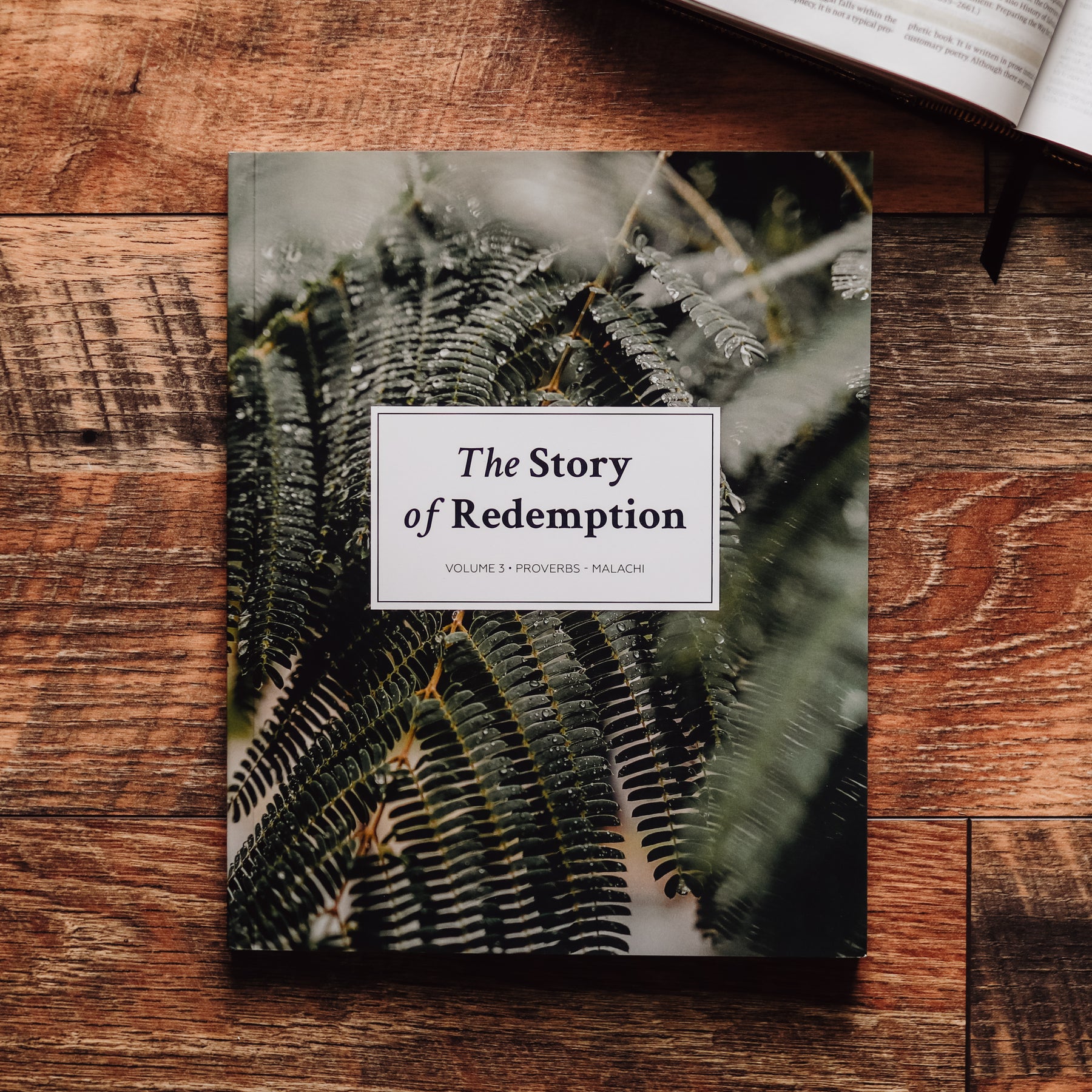 The Story of Redemption Vol. 3 - Men | TDGC – The Daily Grace Co.