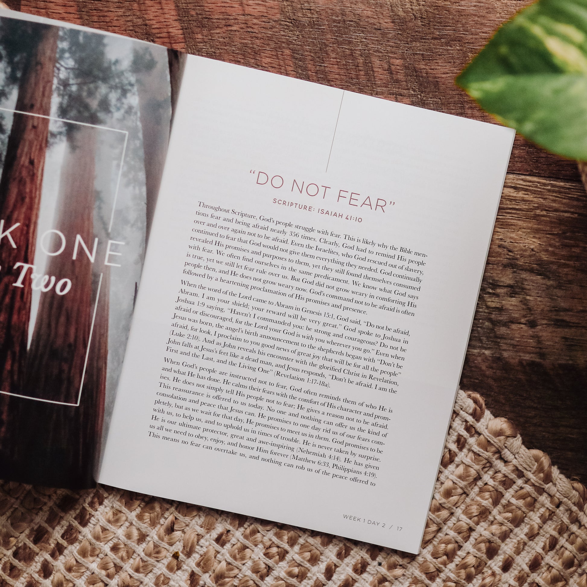 Bible Study For Men on Fear | The Daily Grace Co.
