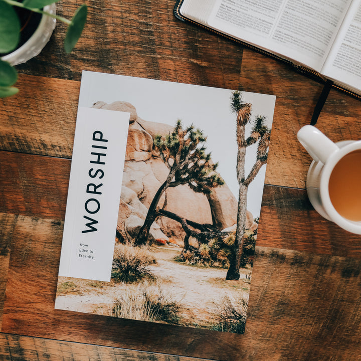 Men's Bible Study on worship sitting on wooden table next to mug