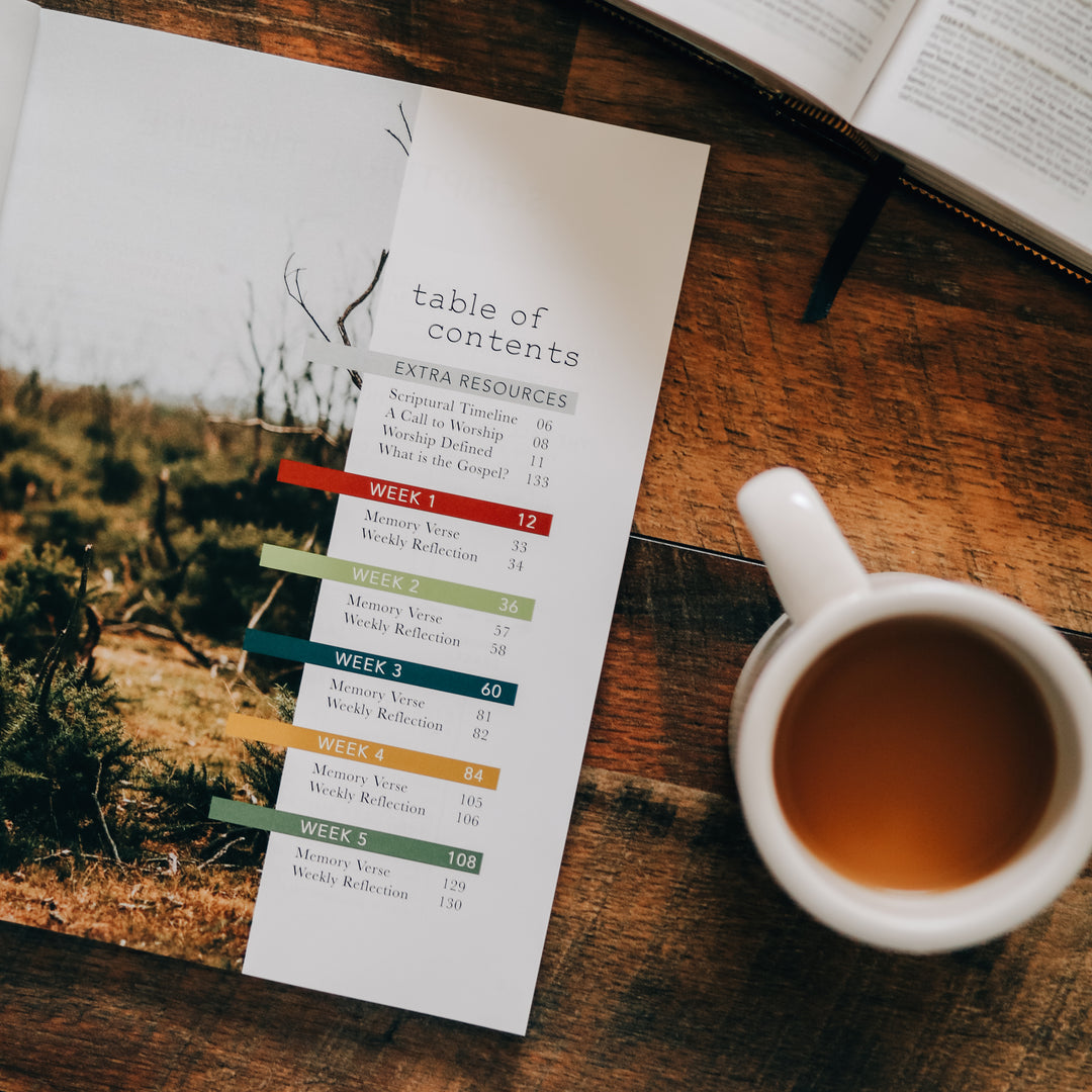 Men's Bible Study on worship open to table of contents page