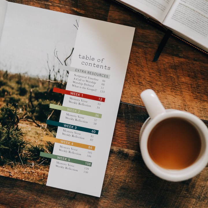 Men's Bible Study on worship open to table of contents page