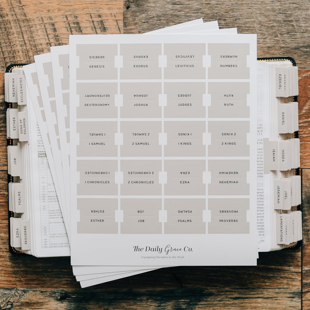 Slightly Imperfect - Neutral Bible Tabs