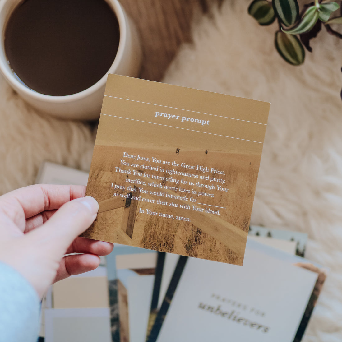 Prayers for Unbelievers Verse Card Set – The Daily Grace Co.