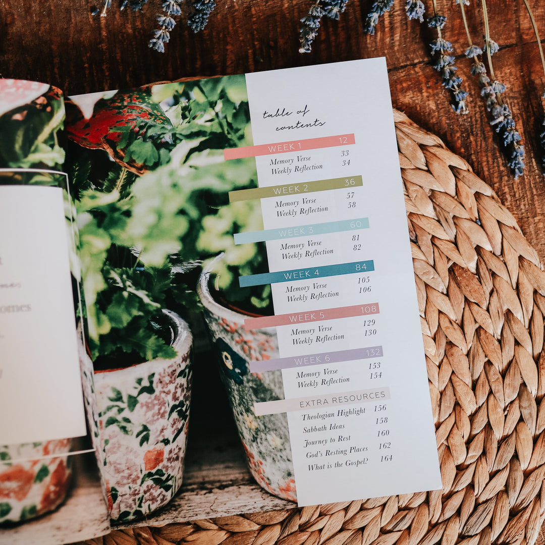 Slightly Imperfect - Rest | From Eden to Eternity