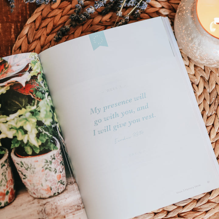 Slightly Imperfect - Rest | From Eden to Eternity