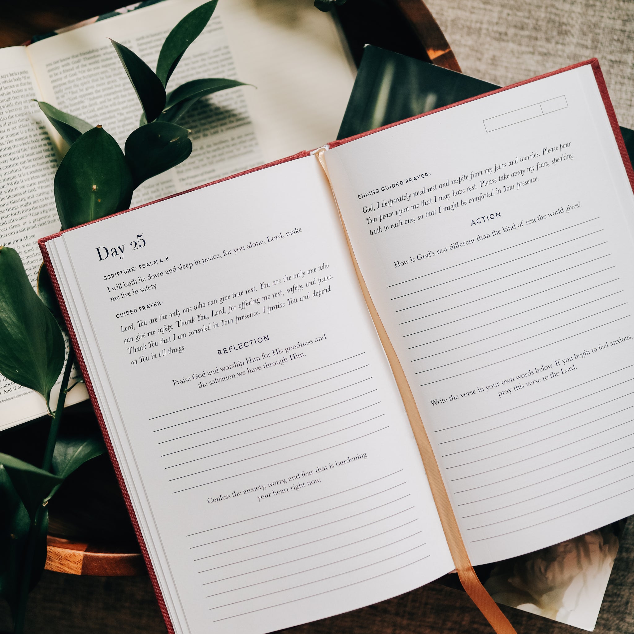 Scripture for anxiety journal the daily grace co 