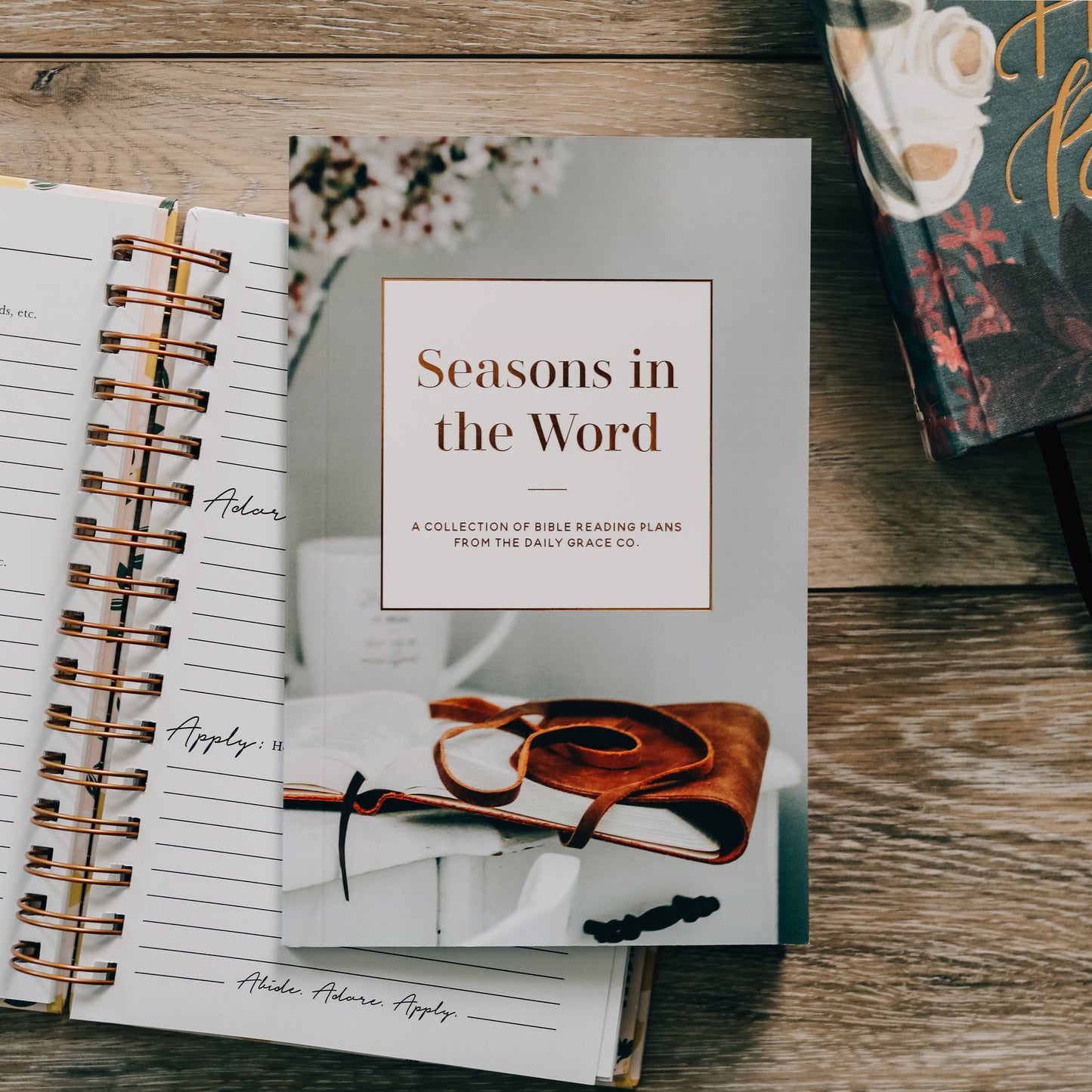 Seasons in the Word | Bible Reading Plans