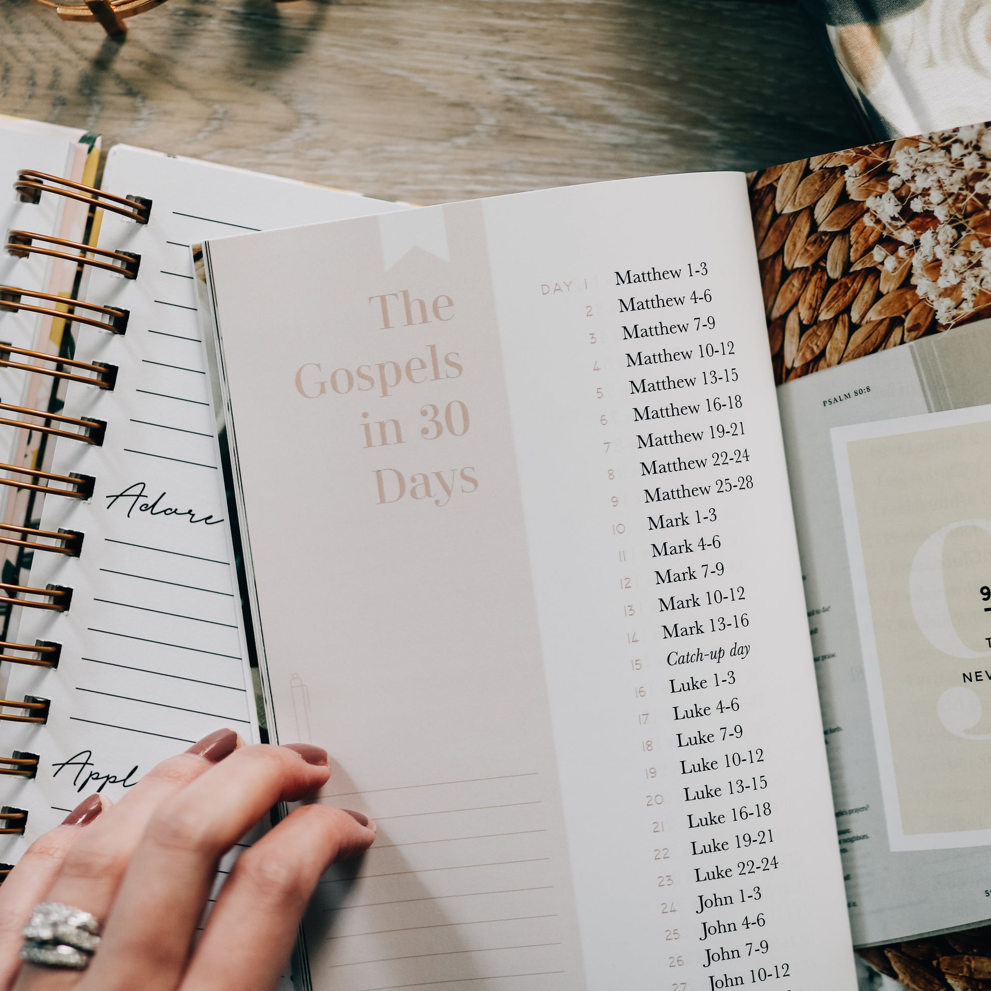The Daily Grace Co. - Get a FREE Bible Pen Set!!! Grab some resources for  Summer Bible Study and get a free set of color-coding pens! . With every  order of $30