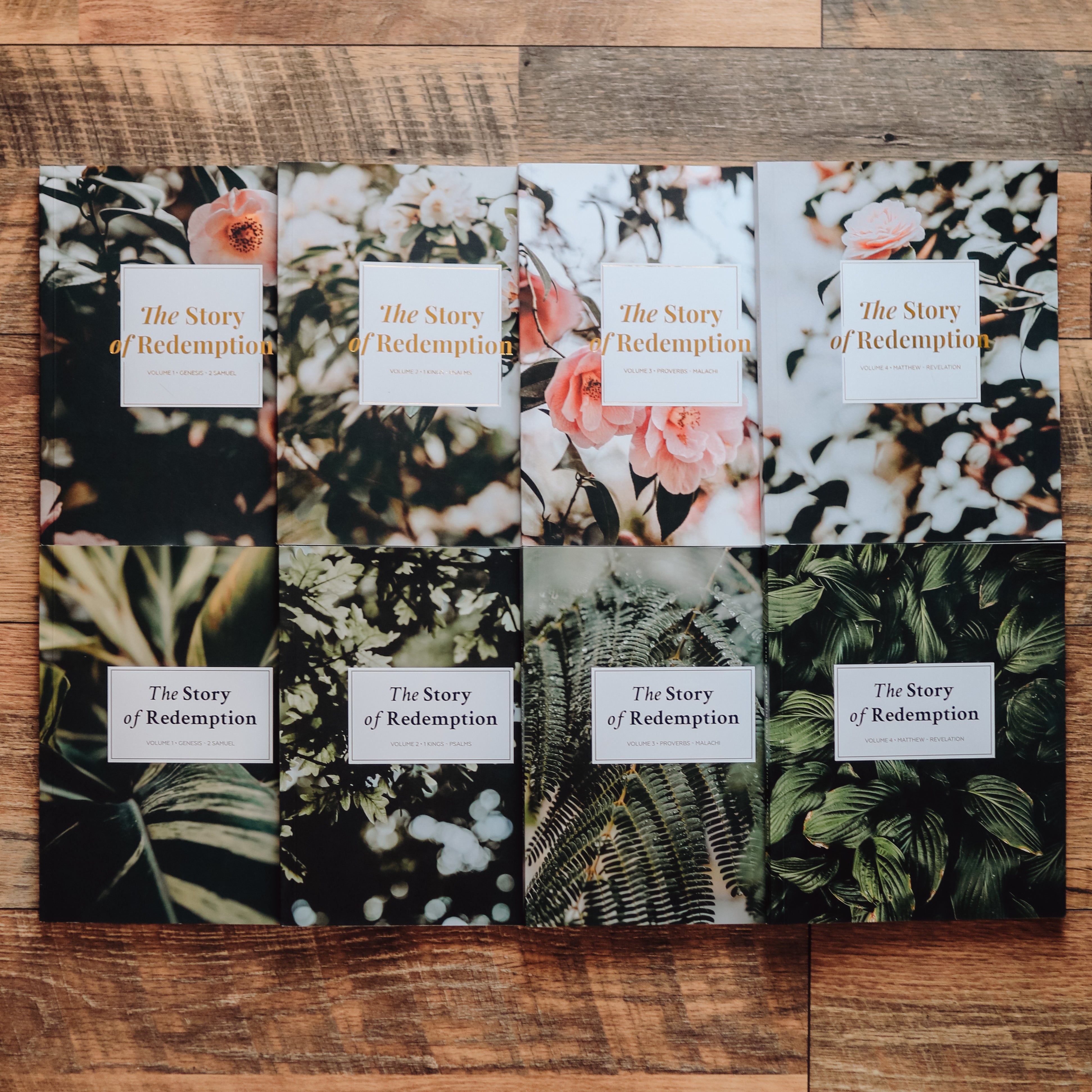 set of 8 Bible Studies laid out on table